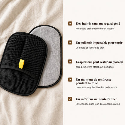 GantMagik™ — retirez 100 % des poils d'animaux