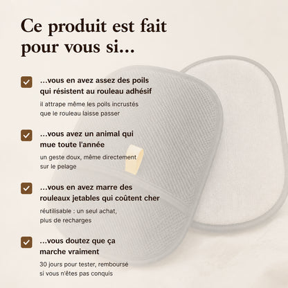 GantMagik™ — retirez 100 % des poils d'animaux