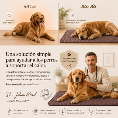 FrescoPad™ — Alfombrilla Refrescante para perros
