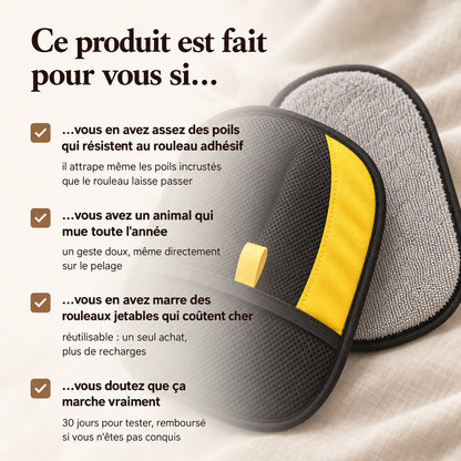 GantMagik™ — retirez 100 % des poils d'animaux