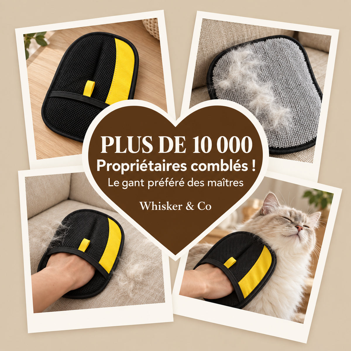GantMagik™ — retirez 100 % des poils d'animaux