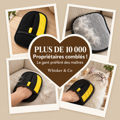GantMagik™ — retirez 100 % des poils d'animaux